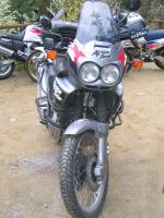 Max450 (150).jpg